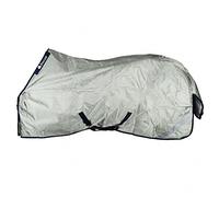 Bucas Couverture de cheval PowerTurnout Light Stay-Dry 0g Argenté 165 cm