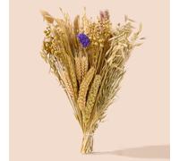 BUCATSTATE Literie naturelle pour hamster - Fleurs, herbes, pulvérisations, céréales pour décoration d'habitat de cage - Hamster à mâcher pour gerbilles syriennes naines, souris, fourrage de rat