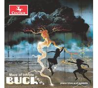 Buch - Maze of Infinite Forms