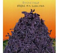 Buckethead - Needle In A Slunk Stack
