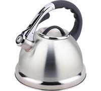 Buckingham Bouilloire Sifflante Rétro à Induction, Acier Inoxydable, 3,5 L