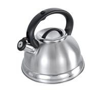 Buckingham Bouilloire sifflante rétro à Induction en Acier Inoxydable, Matte, 3 l