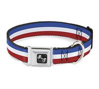 Buckle Down 11-43,2 cm Rayures Rouge/Blanc/Bleu Collier de Chien en Forme d'os, Medium