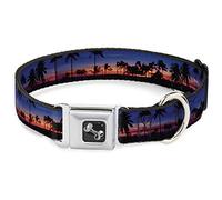 Buckle Down 13-45,7 cm California Sunset Collier de Chien en Forme d'os, Large Petite