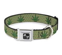 Buckle Down 16-58,4 cm Marijuana Jardin Tan/Vert Collier de Chien en Forme d'os, écran Large, Medium