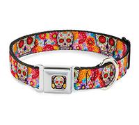 Buckle Down 9-38,1 cm Motif tête de Mort Starburst Blanc/Multi Couleur Collier de Chien