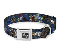 Buckle Down 9-38,1 cm Vérité et Justice Close-up Bleu Collier de Chien en Forme d'os, Petite