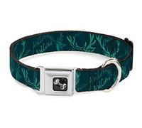 Buckle Down Bois de Turquoise Collier de Chien en Forme d'os, Petite/9-38,1 cm