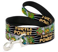 Buckle Down "Classic TMNT Groupe Pose/Puissance Tortue. Pet Leash, 6 '-1.5 "