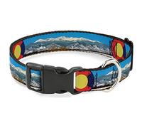 Buckle-Down Collier pour Animal de Compagnie, Collier pour Chien avec Boucle en Plastique, Motif du Colorado Mount Evans Vivid Landscape Colorado Flag Icon, 17,8 à 21,6 cm, 1,3 cm de Large