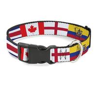 Buckle-Down Collier pour animal de compagnie, collier pour chien, boucle en plastique, drapeaux de l'équipe de football de l'équipe de football de 24,1 à 33 cm, 2,5 cm de large