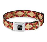 Buckle-Down Collier pour Animal Domestique, Collier pour Chien, Boucle de Ceinture de sécurité, Drapeau de la Floride, Vintage, 28 à 41,5 cm, 2,5 cm de Large