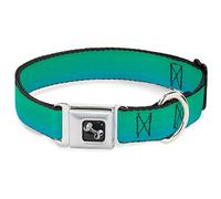 Buckle Down Collier pour Chien avec Boucle de Ceinture de sécurité - Bleu Sarcelle ombré - 2,5 cm de Large - Convient pour Tour de Cou de 27,9 à 43,2 cm - Taille M