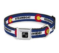 Buckle-Down Collier pour Chien avec Boucle de Ceinture de sécurité - Drapeau du Colorado Motif Bateau à Vapeur Bleu/Blanc/Rouge/Jaune