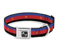 Buckle Down Dc-w30688-s Drapeau Polyamorous Pi Symbole Bleu/Rouge/Noir/Jaune Ceinture de sécurité Collier de Chien, Petite