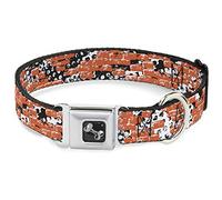 Buckle Down Dc-w30719-ws Ceinture de sécurité Collier de Chien, écran Large, Petite, Grunge Briques Orange