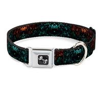 Buckle Down Dc-w32036-wm Ceinture de sécurité Boucle Collier de Chien, 3,8 cm Wide-Fits 16-58,4 cm Neck-Medium