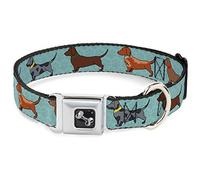 Buckle Down Dc-w33040-m Ceinture de sécurité Collier de Chien, 2,5 cm Wide-Fits 11-43,2 cm Neck-Medium