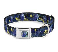 Buckle Down Dc-wdy274-ws Dyhq Dory Pose2/tourbillons Couleurs complète Bleues/Jaunes Collier de Chien, Wide-small/13-45,7 cm