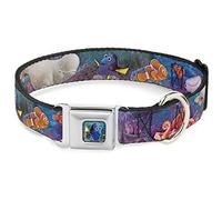 Buckle Down Dc-wdy319-s Dyhs Dory Pose complète Couleur Collier de Chien, Petite/9-38,1 cm