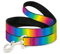 Buckle Down Dl-6ft-w31832 Rainbow Ombre Laisse pour Animal Domestique, 6 'Long - 2,5 cm de Large