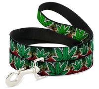 Buckle Down Dl-w31348-n étroit 1,3 cm Haze de Marijuana Rasta/Blanc Laisse pour Chien, 4 '