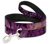 Buckle Down Dl-w32213 Vivid Floral Collage Pinks Pet Leash, 4 'Long - 2,5 cm de Large