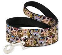 Buckle Down "Doge 3-Dress Blocs Pet Leash, 6 '-1/5,1 cm