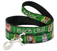 Buckle Down "Doge 4-Poses/Bones Beaucoup Chill/So Relax Green Fade Pet Leash, 6 '-1/5,1 cm