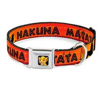 Buckle Down Dyac Simba2 Gros Collier de Chien