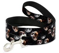 Buckle Down "Grumpy Cat lunes Diffuse Pet Leash, 6 'x 1/5,1 cm