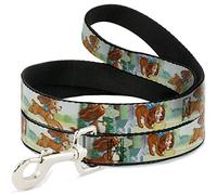 Buckle Down "Lady 3-Scene Poses Pet Leash, 6 '-1 "