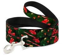 Buckle-Down Laisse pour Animal Domestique, Laisse pour Chien, nœuds d'arbre décorés, lumières d'orge, 1,8 m de Long, 3,8 cm de Large