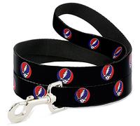 Buckle Down Laisse pour Chien