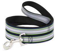 Buckle-Down Laisse pour Chien Motif Rayures Bleu Marine/Vert Fluo/argenté/Blanc 1,2 m de Long 1,3 cm de Large