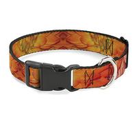 Buckle Down Pc-w32214-wl Plastique Clip Collier, Floral, 3,8 cm Wide-Fits 18-81,3 cm Neck-Large