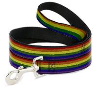 Buckle Down Pet Leash, 4 'x 1/5,1 cm, Rainbow Stripe Painted