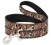 Buckle Down Pet Leash, 4 'x 1/5,1 cm, Tj-Twisted Fairies