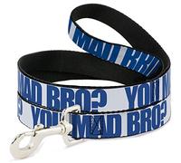 Buckle Down Pet Leash, 4 'x 1/5,1 cm, Vous Mad Bro Blanc/Bleu Roi