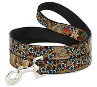 Buckle Down "Tj-Fairies Pet Leash, 6 'x 1/5,1 cm