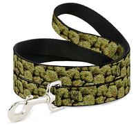 Buckle Down "Vivid Marijuana Nugs2 Stacked Pet Leash, 6 'x 1/5,1 cm