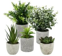 BUCOMTU 5 Pieces Plantes Artificielle, Mini Plantes artificielles Interieur Serpentine, Agave succulentes, Griffe d'aigle Aloe Vera, pour Chambre Bureau Decoration (Couleur d'origine)