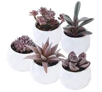 BUCOMTU 5Pieces Plante Artificielle,Plantes Artificielles Interieur,succulentes artificielles avec Pots Blancs, idéales pour décorer Un Mariage, Un Bureau, Un Salon ou Une Salle de Bain (Rose)