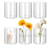 BUCOMTU 6 Pièces Vase Fleur, Mini Vases en Verre 8.5 x 10cm, Petits Vases en Verre, Vase Cylindrique pour la Décoration de Fêtes, Arrangements Floraux, Centres de Table de Mariage, Bricolage