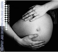 Budapest Jazz Orchestra - Human Circle-The Wayfarer