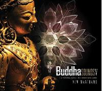 Buddha Sounds - Buddha Sounds Vol 5