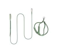 BuddyArmor Ensemble de harnais pour chat anti-fugue en forme de Y avec laisse, réglable, anti-étranglement, rembourré, harnais doux pour chat, laisse et laisse libre pour chat pour la promenade