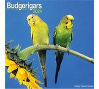 Budgerigar Calendar 2024 Square Bird Wall Calendar 16 Month Budgerigar Calendar 2024 Square Bird Wall Calendar 16 Month (Auteur)
