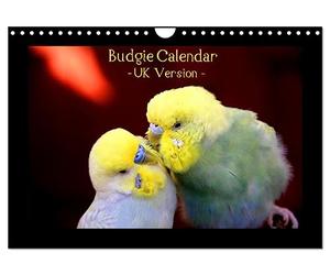 Budgie Calendar - UK Version (Wall Calendar 2027 DIN A4 landscape), CALVENDO 12 Month Wall Calendar: CALVENDO presents nature photographer Björn ... calendar - already the No. 1 in Germany.