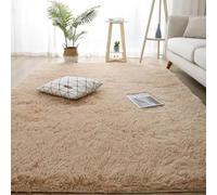 BUDINGHY Tapis Salon Tapis de Sol 200 x 100 cm Dessous Antidérapant Intérieur Épais, Moelleux, Résistant de Chambre Super Doux Salon Moderne pour Couloir, Chambre, Beige